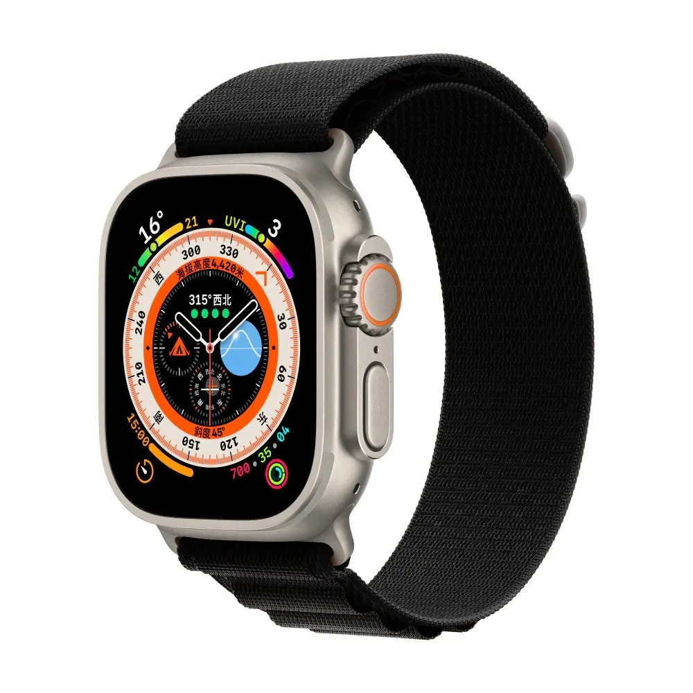 apple watch alpine loops