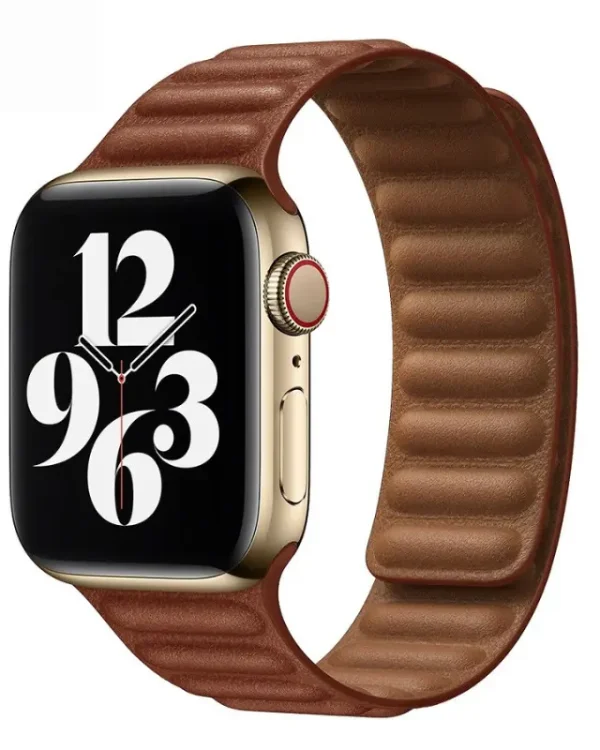 apple watch magnetic leather belt Brown (1)