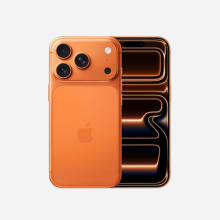 iPhone 17 Pro cases